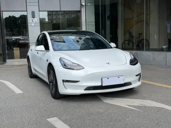 Model 3 2020 Model Facelift Long Battery Life Pro Rear-wheel drive version – фото 3