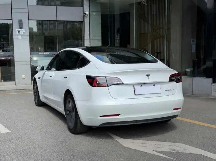 Model 3 2020 Model Facelift Long Battery Life Pro Rear-wheel drive version – фото 4
