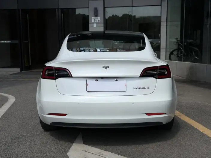 Model 3 2020 Model Facelift Long Battery Life Pro Rear-wheel drive version – фото 5