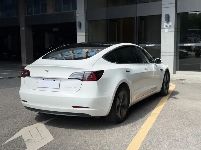 Model 3 2020 Model Facelift Long Battery Life Pro Rear-wheel drive version – фото 6