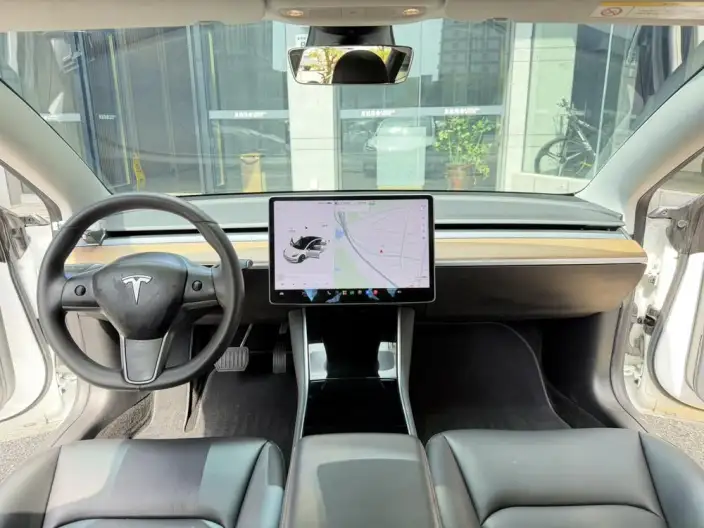 Model 3 2020 Model Facelift Long Battery Life Pro Rear-wheel drive version – фото 7
