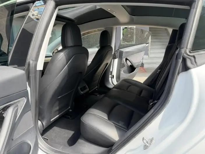 Model 3 2020 Model Facelift Long Battery Life Pro Rear-wheel drive version – фото 9