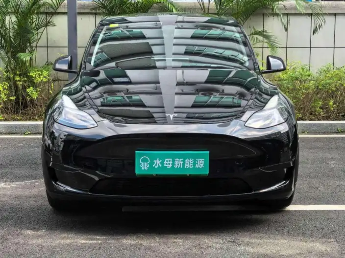 Model Y 2022 Model Rear-wheel drive version – фото 2