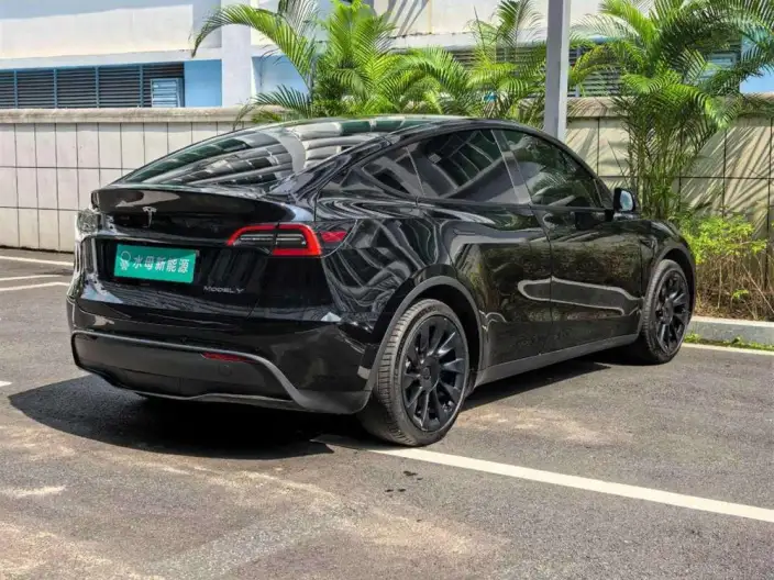 Model Y 2022 Model Rear-wheel drive version – фото 7