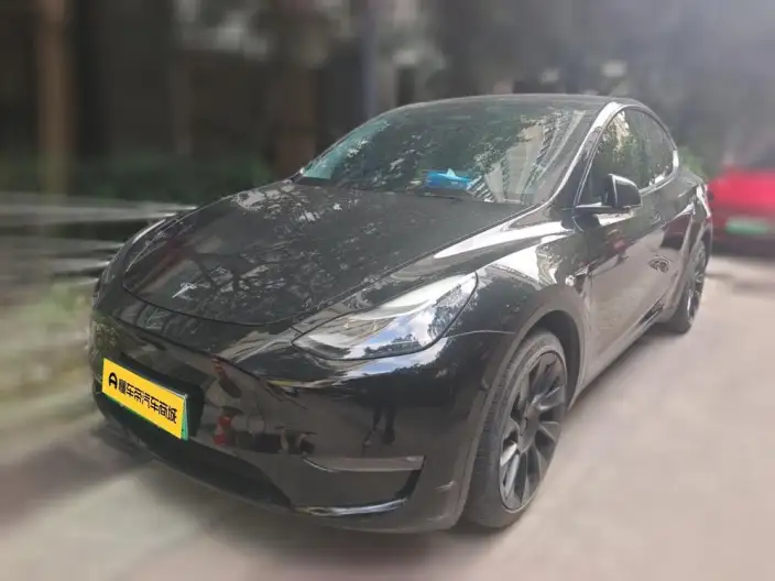 Model Y 2021 Model Standard Battery Life Rear-wheel drive version – фото 1