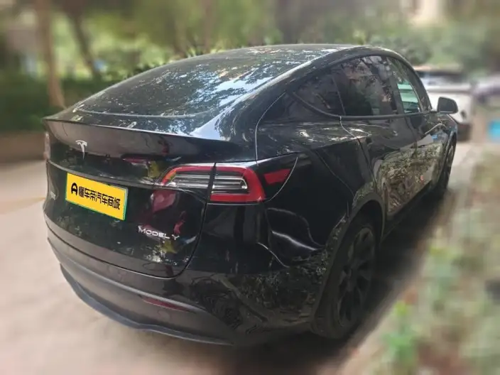 Model Y 2021 Model Standard Battery Life Rear-wheel drive version – фото 2