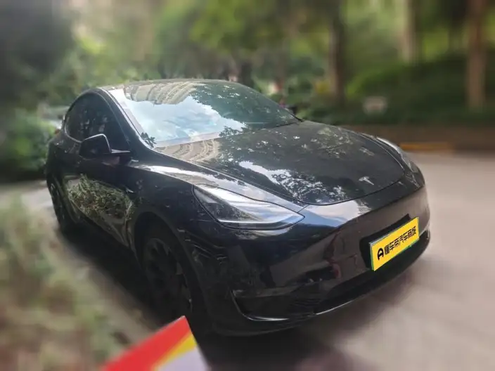 Model Y 2021 Model Standard Battery Life Rear-wheel drive version – фото 3