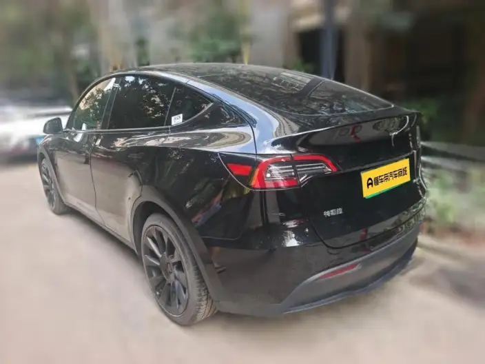 Model Y 2021 Model Standard Battery Life Rear-wheel drive version – фото 4