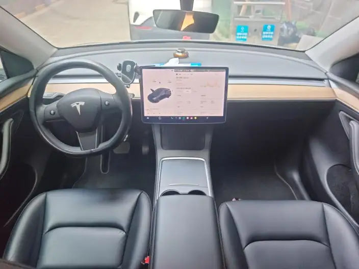 Model Y 2021 Model Standard Battery Life Rear-wheel drive version – фото 5