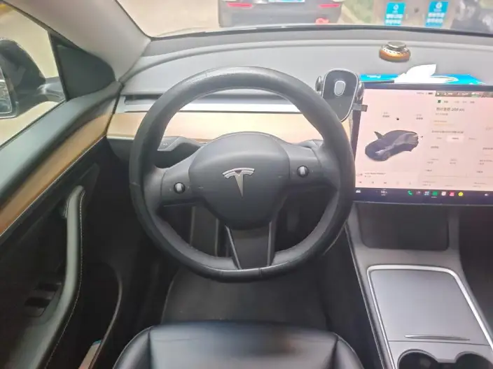 Model Y 2021 Model Standard Battery Life Rear-wheel drive version – фото 7