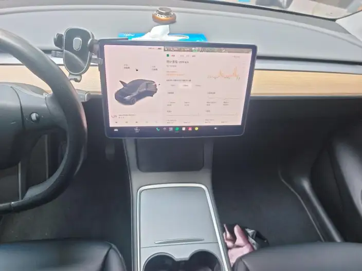 Model Y 2021 Model Standard Battery Life Rear-wheel drive version – фото 8