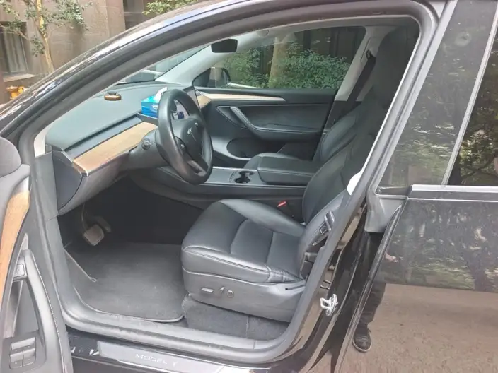 Model Y 2021 Model Standard Battery Life Rear-wheel drive version – фото 10