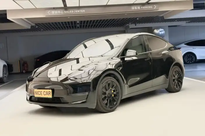 Model Y 2021 Model Long Battery Life Pro All-wheel drive version 3D3/3D7 – фото 1