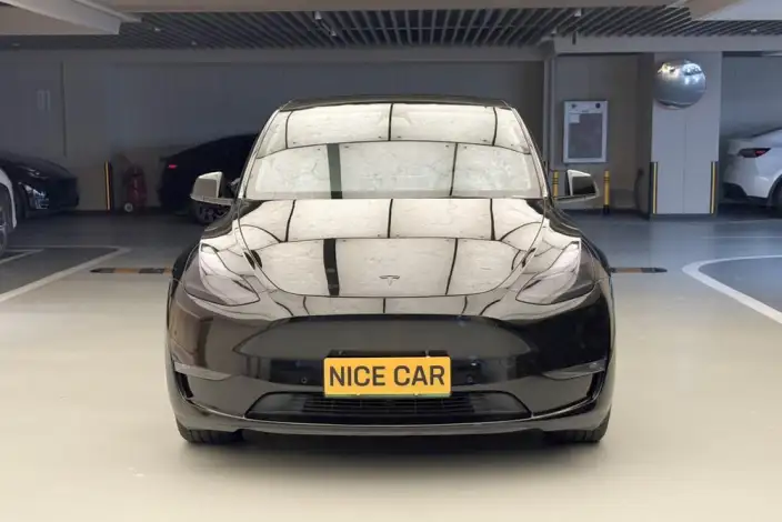 Model Y 2021 Model Long Battery Life Pro All-wheel drive version 3D3/3D7 – фото 2