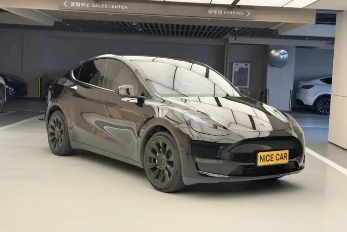 Model Y 2021 Model Long Battery Life Pro All-wheel drive version 3D3/3D7 – фото 3