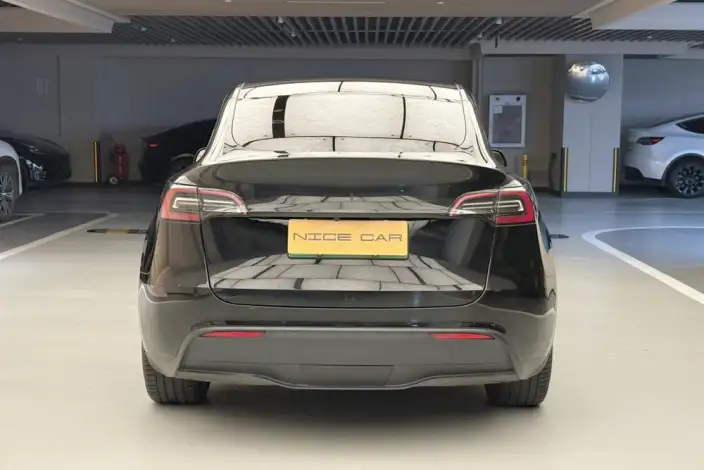 Model Y 2021 Model Long Battery Life Pro All-wheel drive version 3D3/3D7 – фото 6