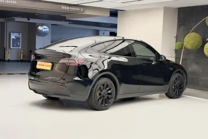 Model Y 2021 Model Long Battery Life Pro All-wheel drive version 3D3/3D7 – фото 7
