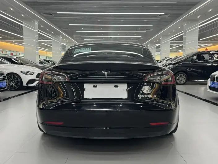 Model 3 2020 Model Standard Battery Life Rear Drive L Class Edition – фото 5