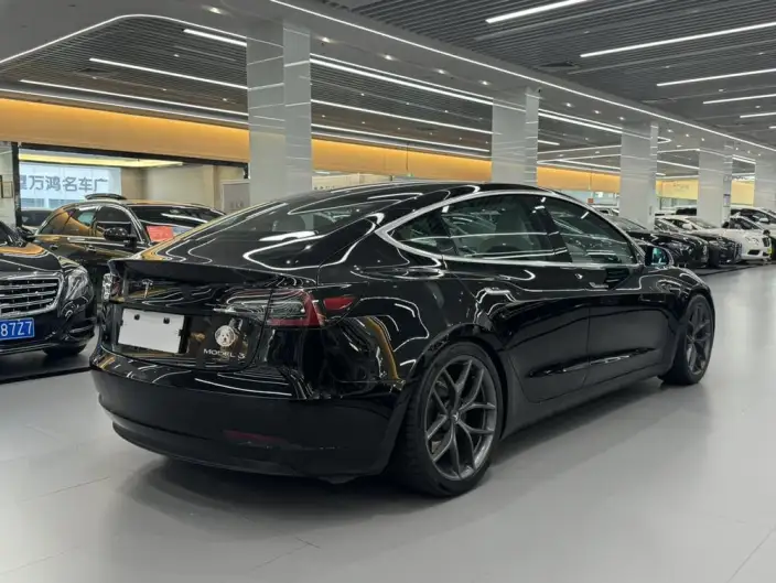 Model 3 2020 Model Standard Battery Life Rear Drive L Class Edition – фото 6