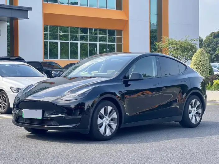 Model Y 2021 Model Standard Battery Life Rear-wheel drive version – фото 1