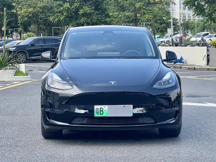 Model Y 2021 Model Standard Battery Life Rear-wheel drive version – фото 2