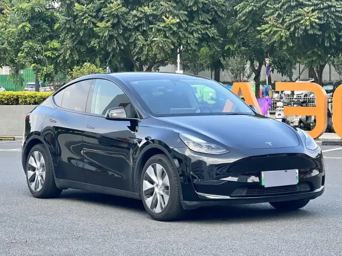 Model Y 2021 Model Standard Battery Life Rear-wheel drive version – фото 3