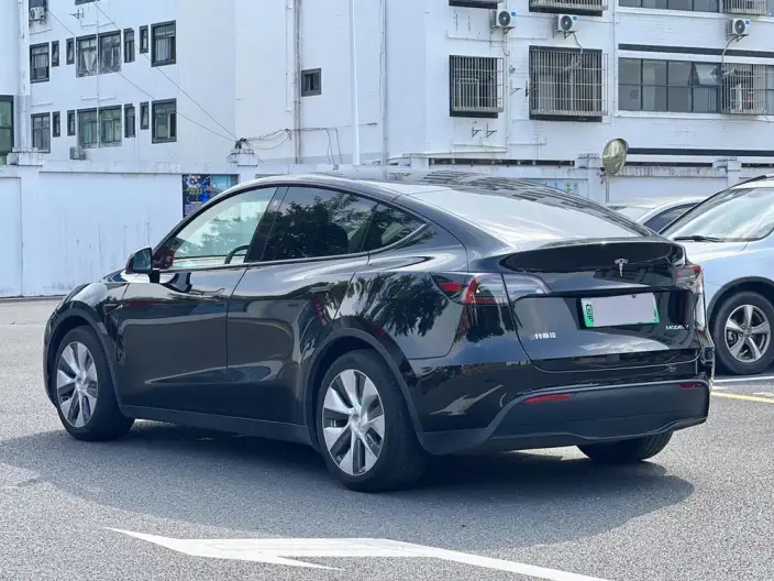 Model Y 2021 Model Standard Battery Life Rear-wheel drive version – фото 4