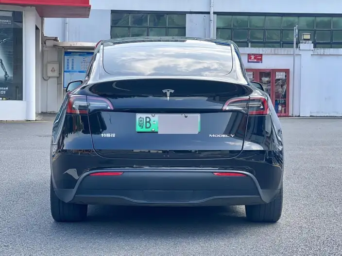 Model Y 2021 Model Standard Battery Life Rear-wheel drive version – фото 5
