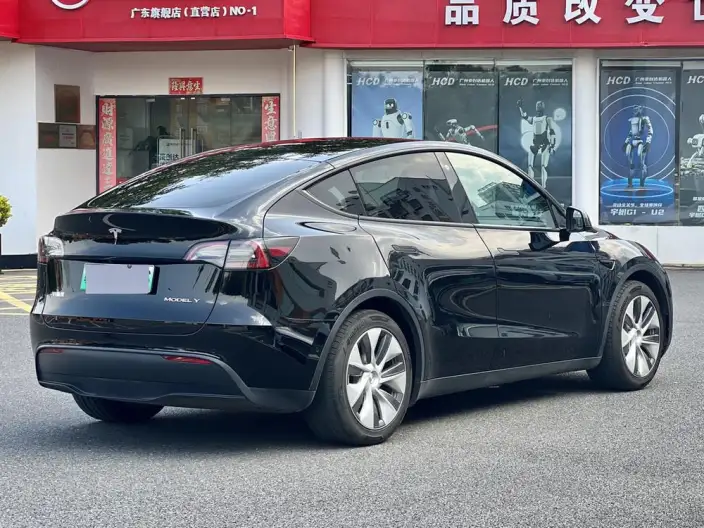 Model Y 2021 Model Standard Battery Life Rear-wheel drive version – фото 6