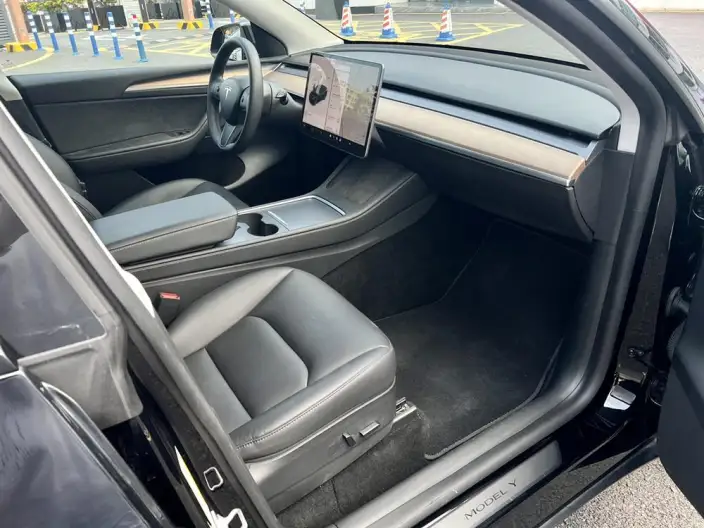 Model Y 2021 Model Standard Battery Life Rear-wheel drive version – фото 7