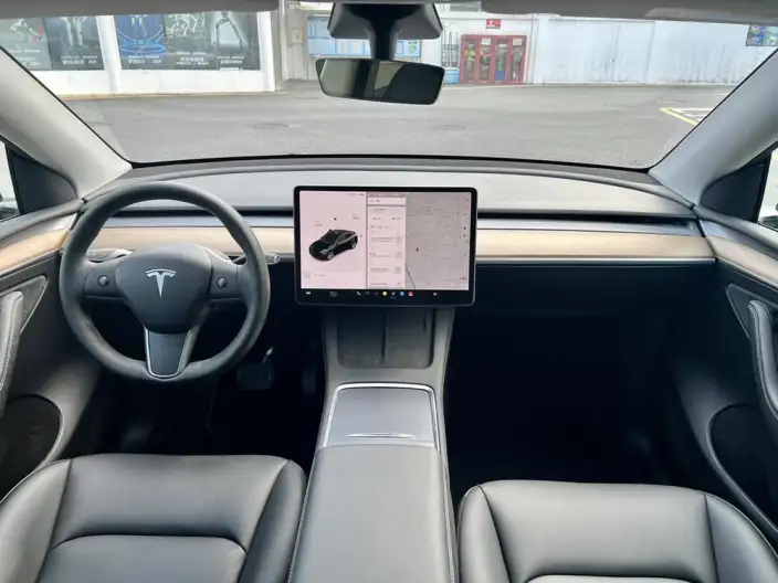Model Y 2021 Model Standard Battery Life Rear-wheel drive version – фото 8