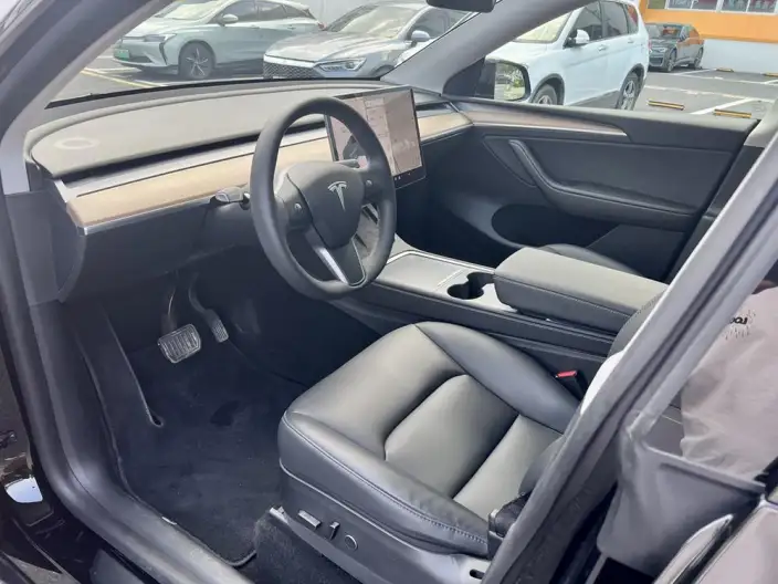 Model Y 2021 Model Standard Battery Life Rear-wheel drive version – фото 9