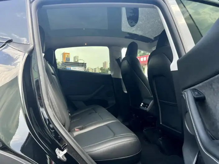 Model Y 2021 Model Standard Battery Life Rear-wheel drive version – фото 10