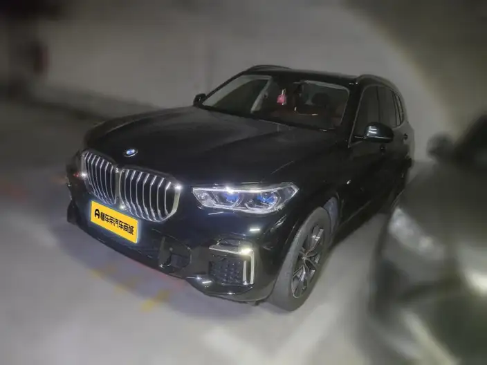 BMW X5 2022 Model Facelift xDrive 30Li Exclusive Model M Sports Set – фото 1