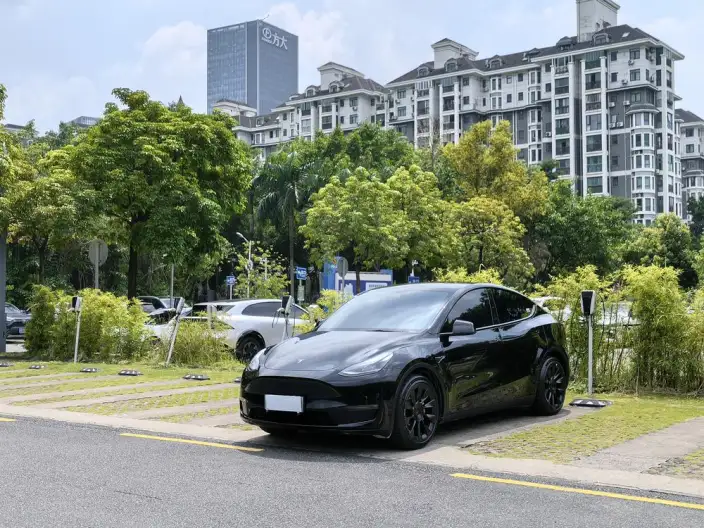 Model Y 2021 Model Standard Battery Life Rear-wheel drive version – фото 1