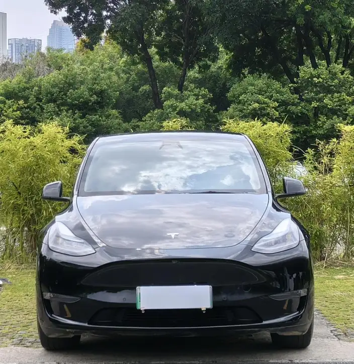 Model Y 2021 Model Standard Battery Life Rear-wheel drive version – фото 2