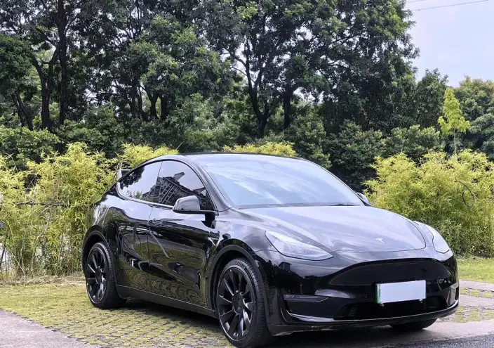 Model Y 2021 Model Standard Battery Life Rear-wheel drive version – фото 3