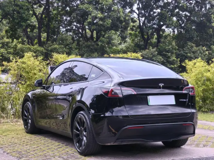 Model Y 2021 Model Standard Battery Life Rear-wheel drive version – фото 5