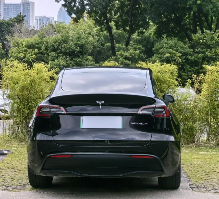 Model Y 2021 Model Standard Battery Life Rear-wheel drive version – фото 6