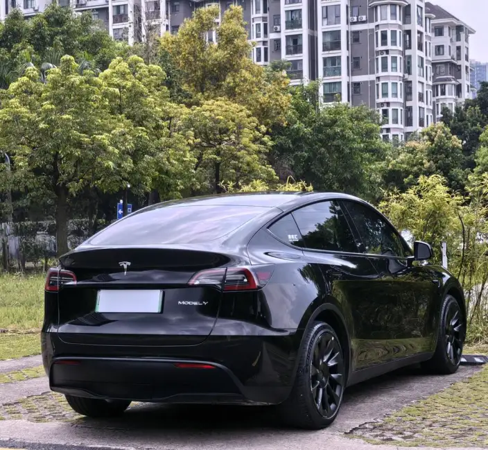 Model Y 2021 Model Standard Battery Life Rear-wheel drive version – фото 7