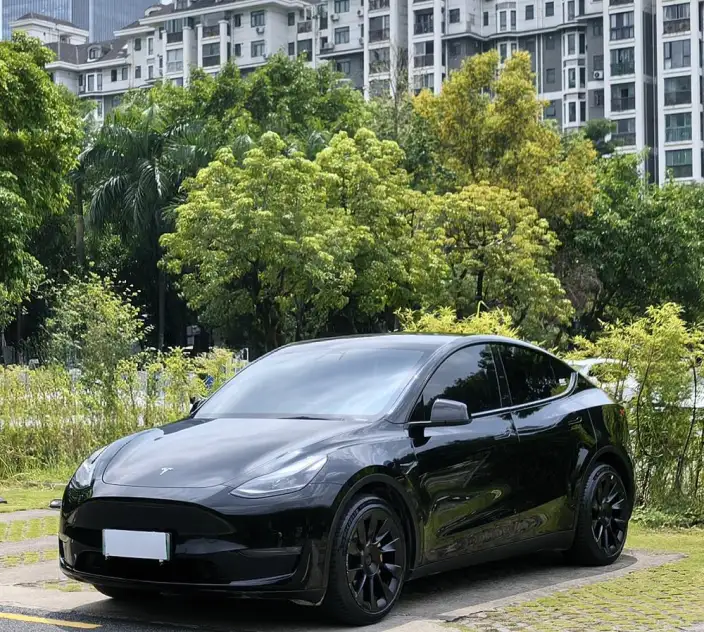 Model Y 2021 Model Standard Battery Life Rear-wheel drive version – фото 8