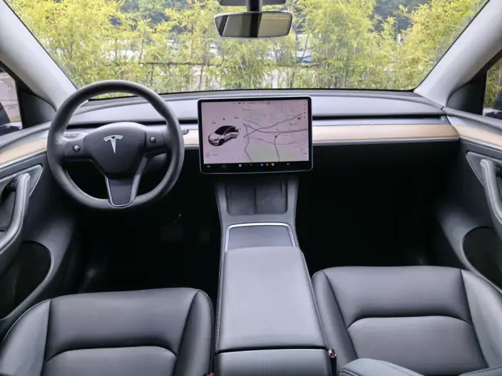 Model Y 2021 Model Standard Battery Life Rear-wheel drive version – фото 9