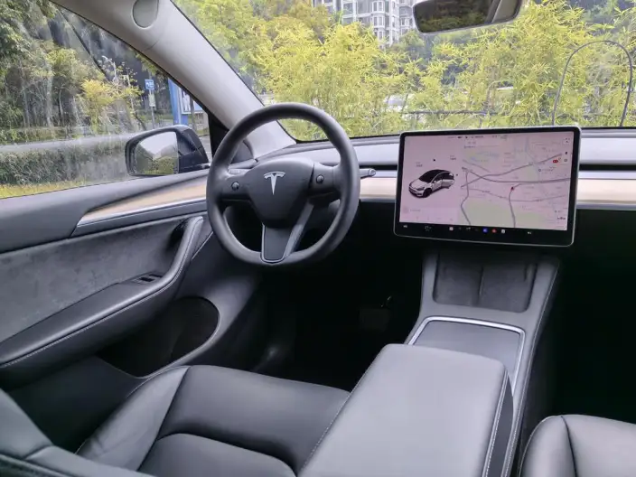 Model Y 2021 Model Standard Battery Life Rear-wheel drive version – фото 10