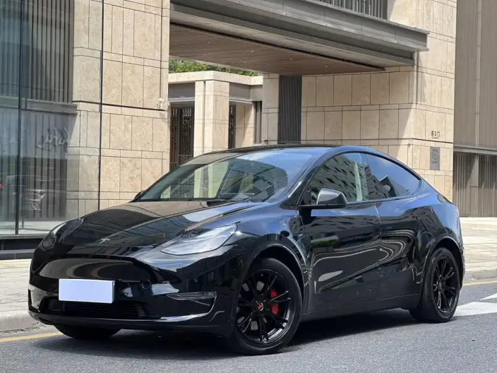 Model Y 2021 Model Standard Battery Life Rear-wheel drive version – фото 1