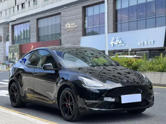 Model Y 2021 Model Standard Battery Life Rear-wheel drive version – фото 2