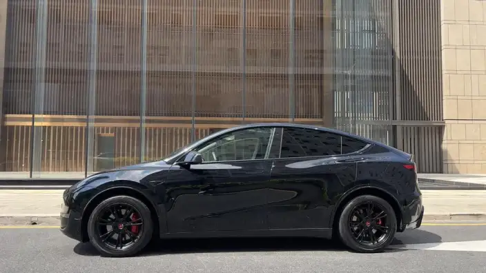 Model Y 2021 Model Standard Battery Life Rear-wheel drive version – фото 3