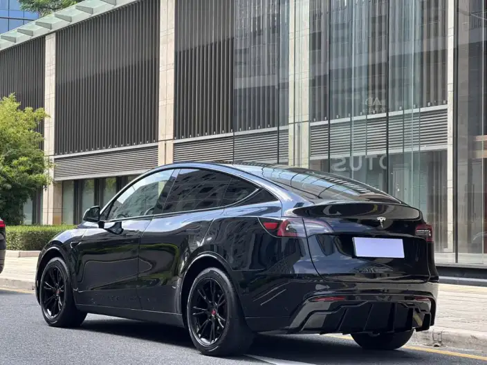 Model Y 2021 Model Standard Battery Life Rear-wheel drive version – фото 4