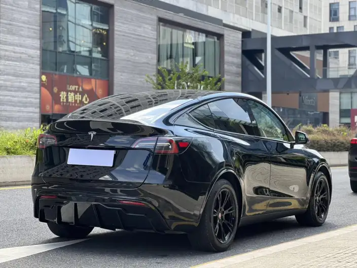 Model Y 2021 Model Standard Battery Life Rear-wheel drive version – фото 5