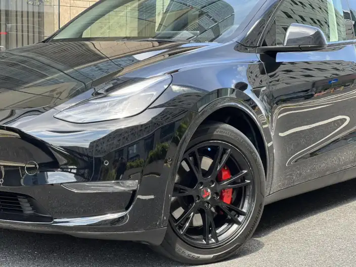 Model Y 2021 Model Standard Battery Life Rear-wheel drive version – фото 9