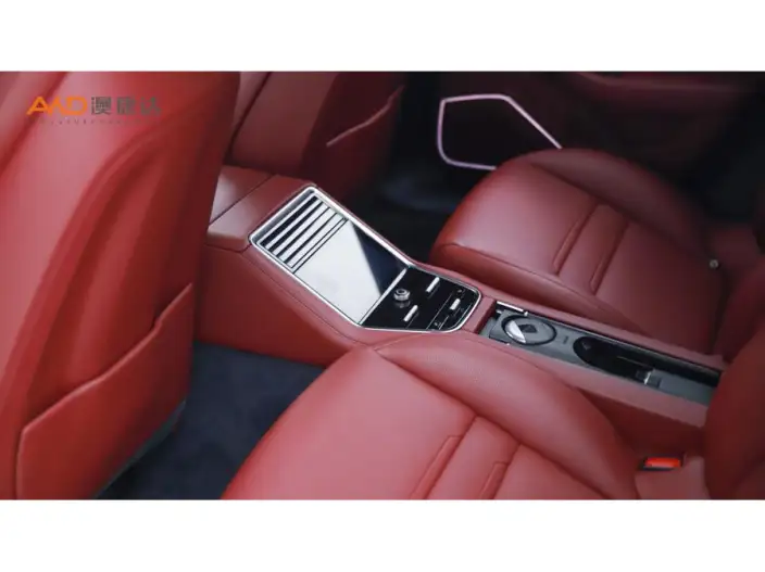 Panamera 2023 Model Panamera 2.9T Platinum edition – фото 7